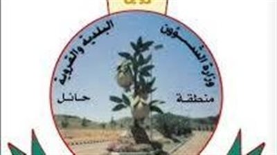 مدينة الروضة مدينة مصرية زراعية