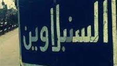 مدينة السنبلاوين مدينة مصرية زراعية