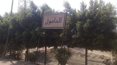 مدينة الحامول مدينة مصرية ساحلية