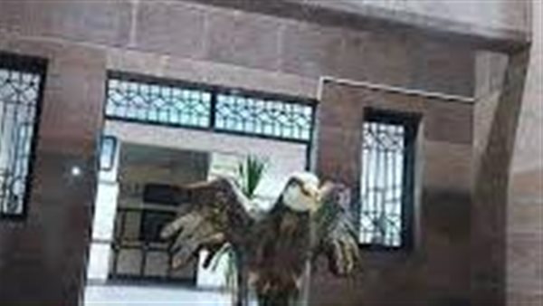 موقع أيام نيوز