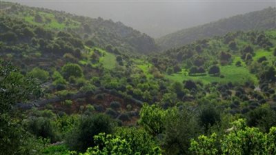 عرجان : بلدة أردنية عريقة تقع في محافظة عجلون
