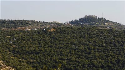 قرية بئر الدالية : قرية تراثية وتاريخية في قلب عجلون