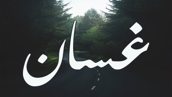 موقع أيام نيوز