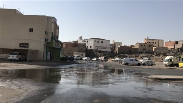 موقع أيام نيوز