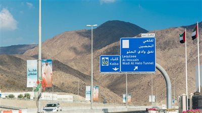 كلباء عاصمة غابات القرم
