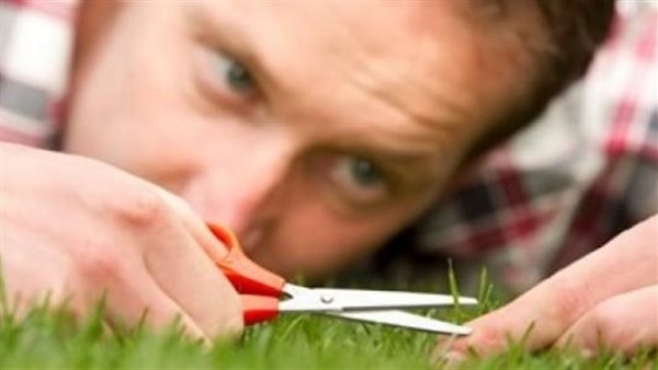 موقع أيام نيوز