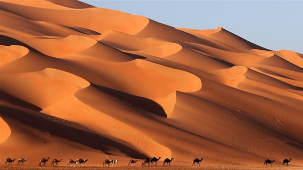 موقع أيام نيوز