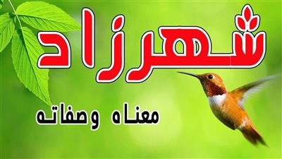 معنى اسم شهرزاد وصفات حاملة الاسم
