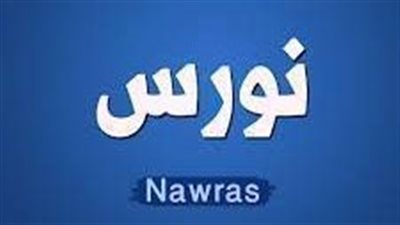 معنى اسم نورس وصفات حاملة الاسم