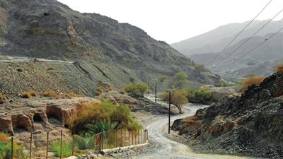 السدر وجهة سياحية طبيعية في الفجيرة