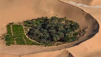 ولاية السنينة بوابة البريمي إلى الجنوب