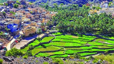 ولاية الرستاق قلب عمان النابض
