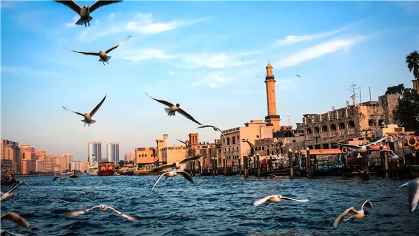 موقع أيام نيوز