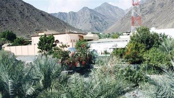 موقع أيام نيوز