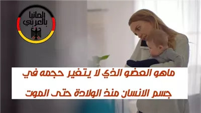 ما هو عضو جسم الإنسان الذي لا ينمو في الحجم من الولادة حتى الوفــاه