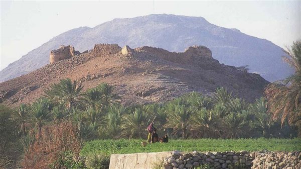 موقع أيام نيوز