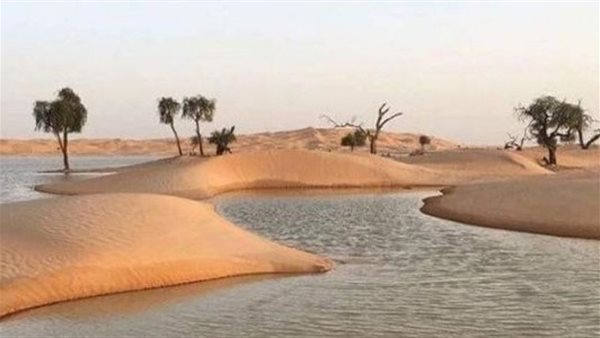 موقع أيام نيوز
